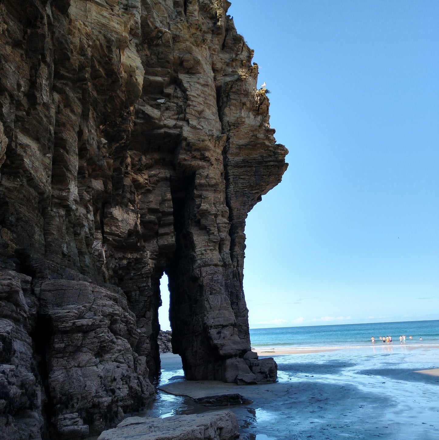 Bossiney Elephant Rock