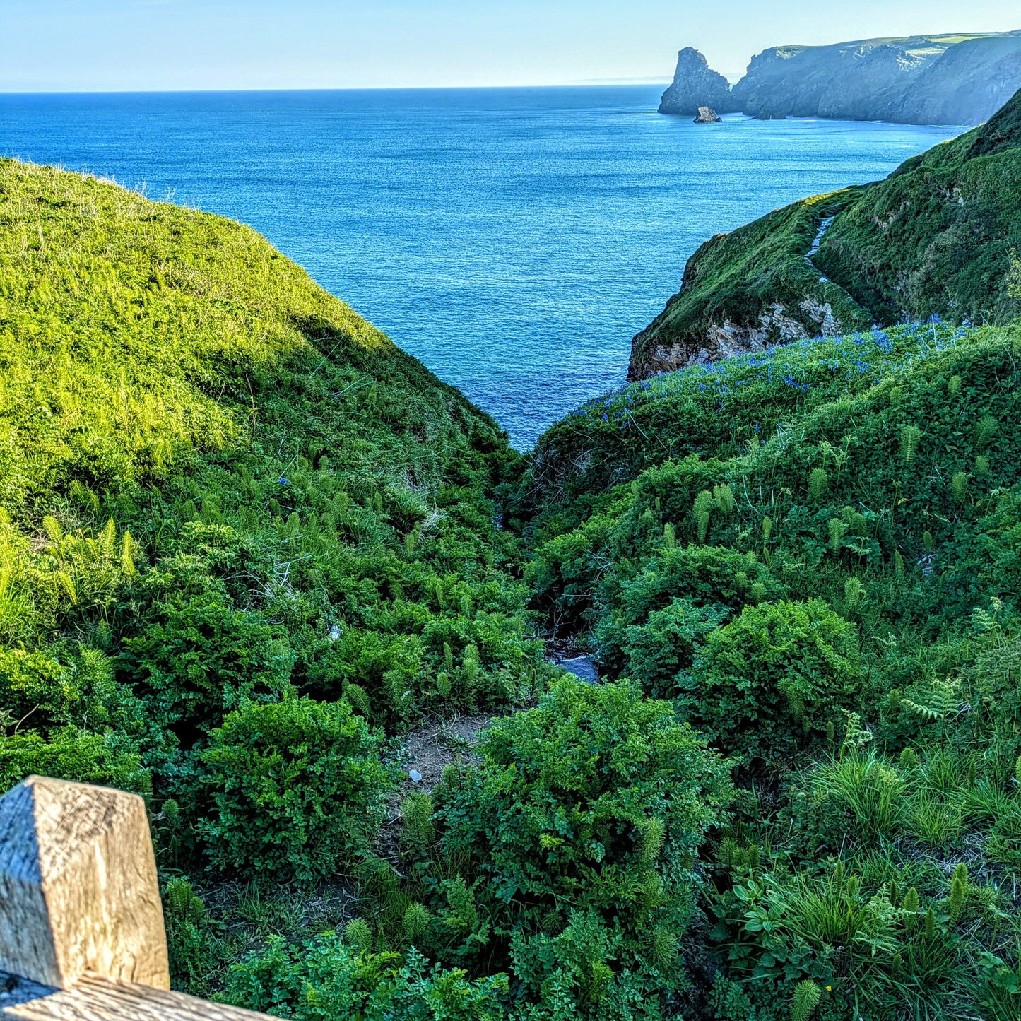 Viewfromawoodenbridgelookingouttoseaandgreenlandscape