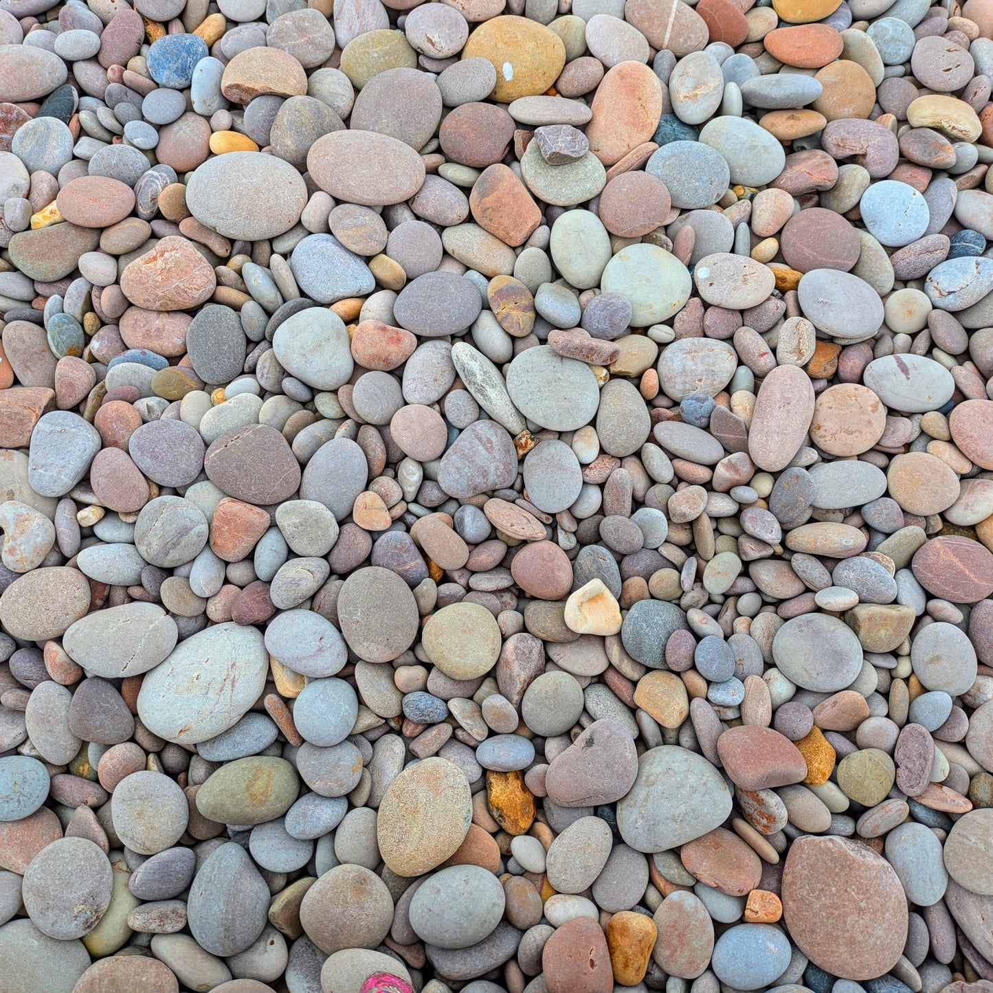 Little Pebbles of Silver Earrings