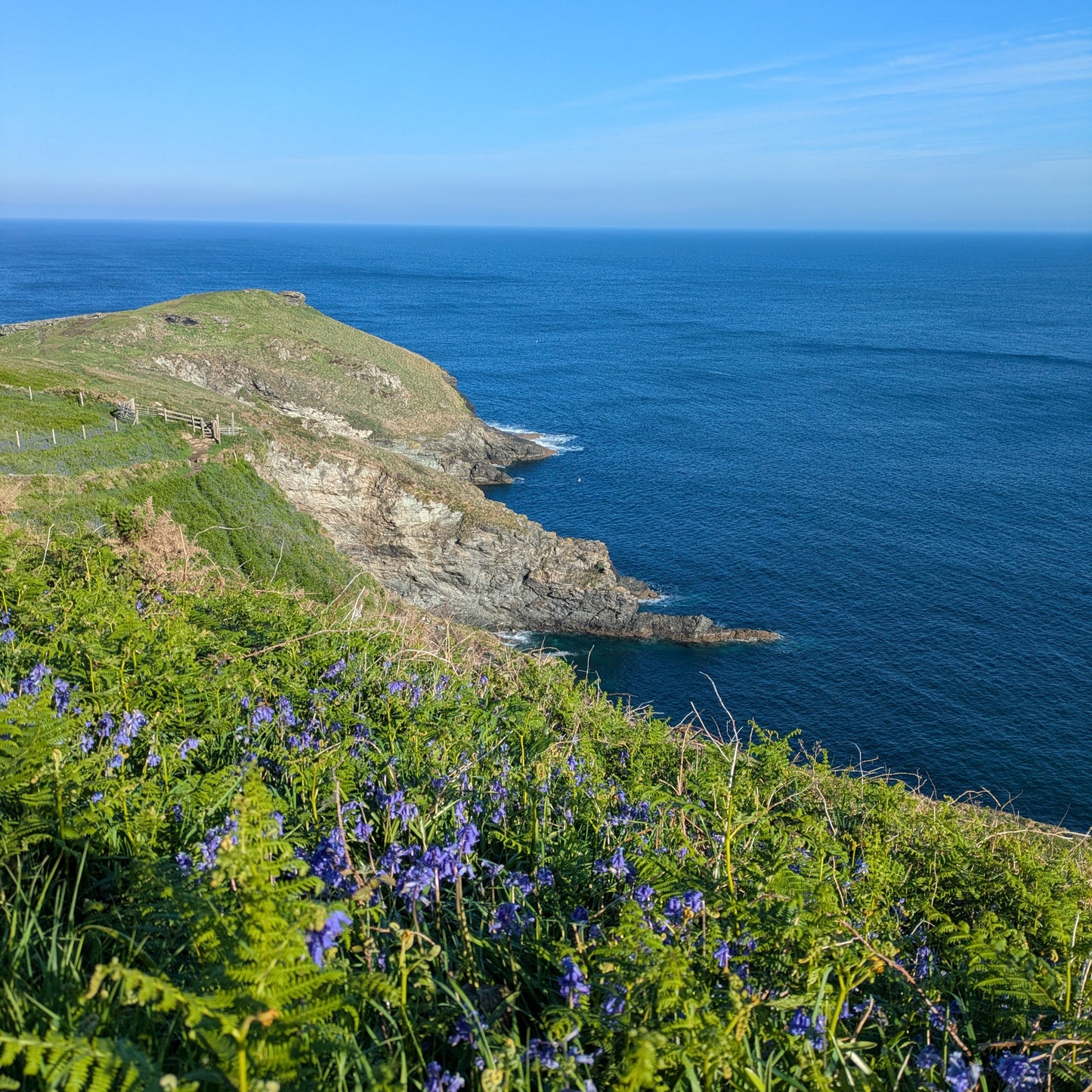 Bossiney Tintagel Cliff path with bluebells