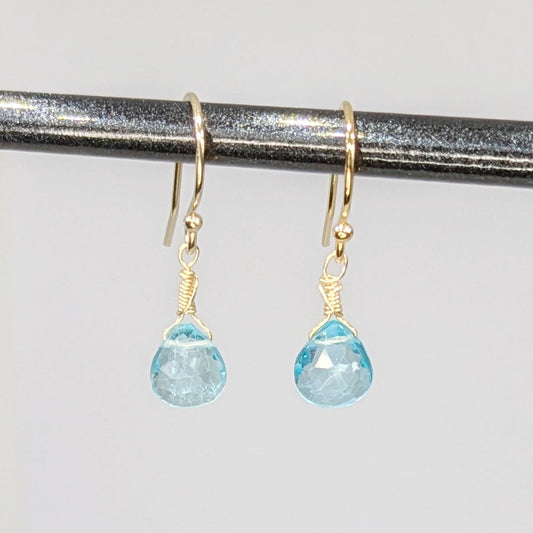 Ocean Blue Apatite Drop Earrings with gold filled wire