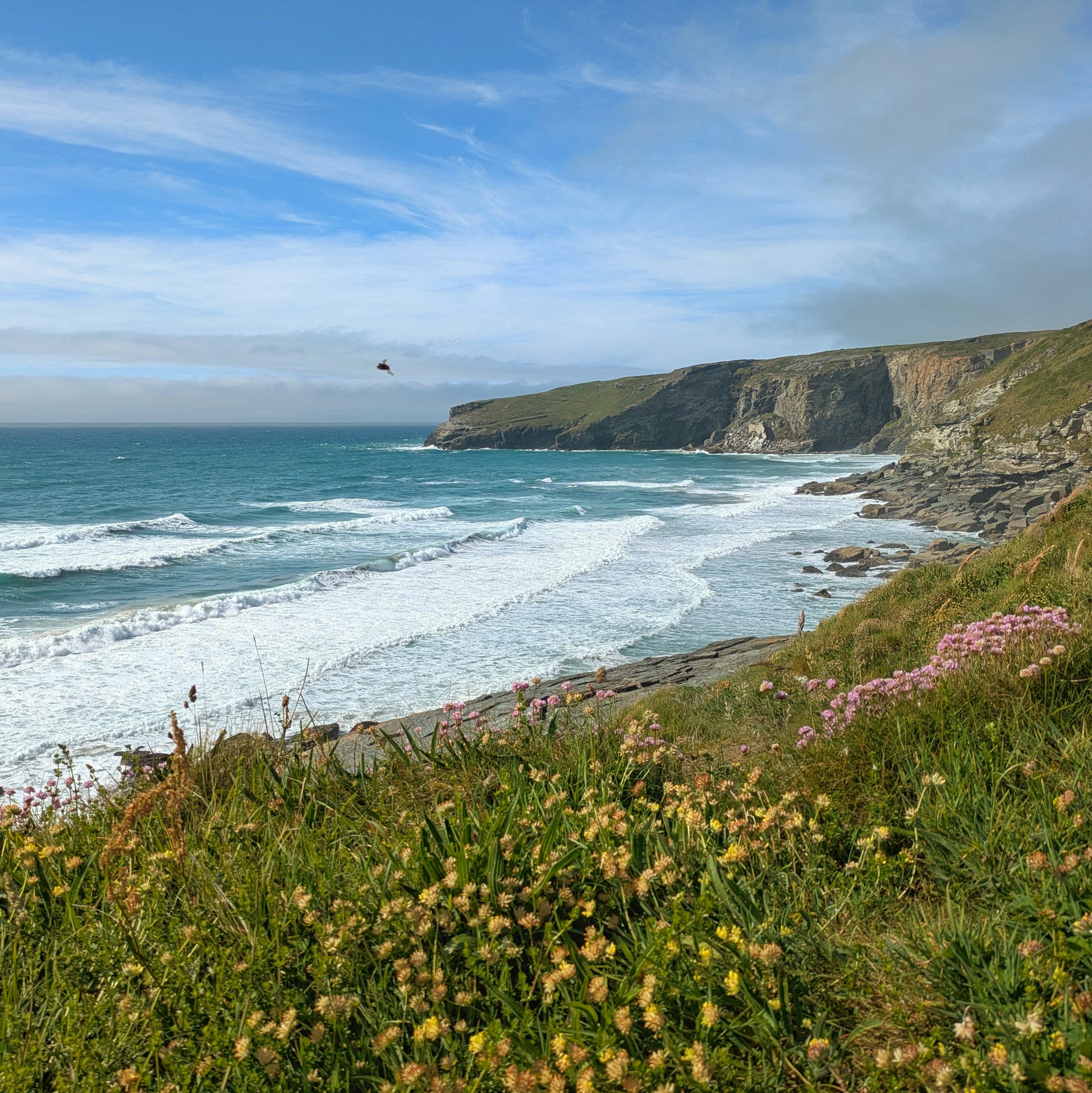 View of coast at Trebarwith 