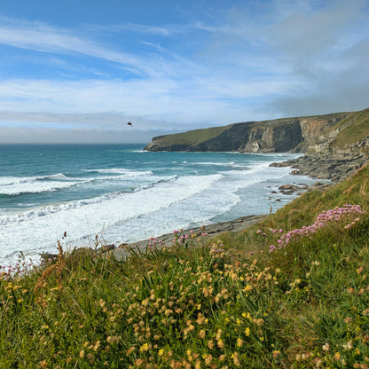 View of coast at Trebarwith 