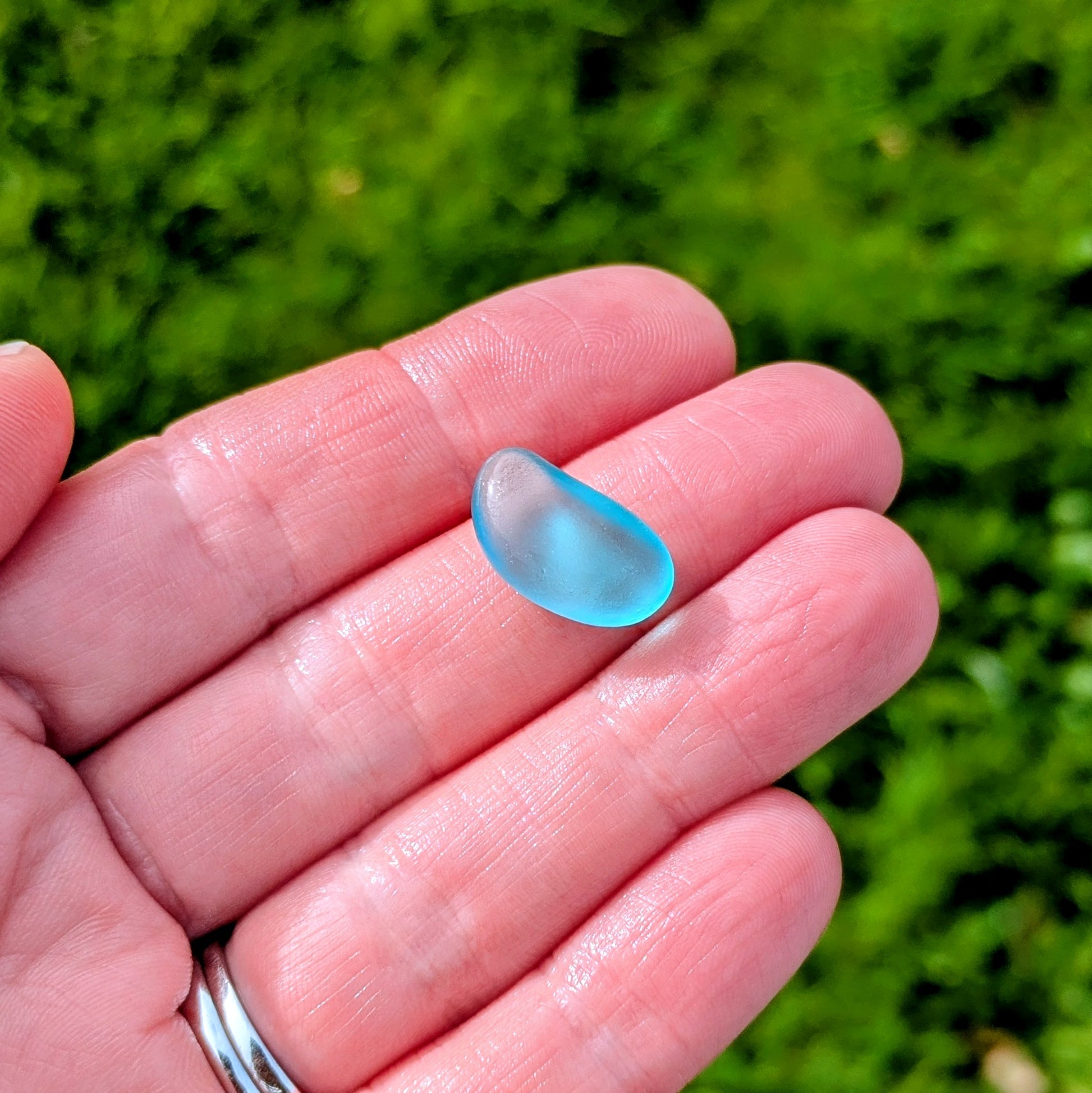 Hand holding a rare turquoise sea glass 'bean'