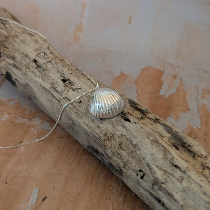 Pure Silver sea shell pendant cast from a real sea shell sitting on driftwood
