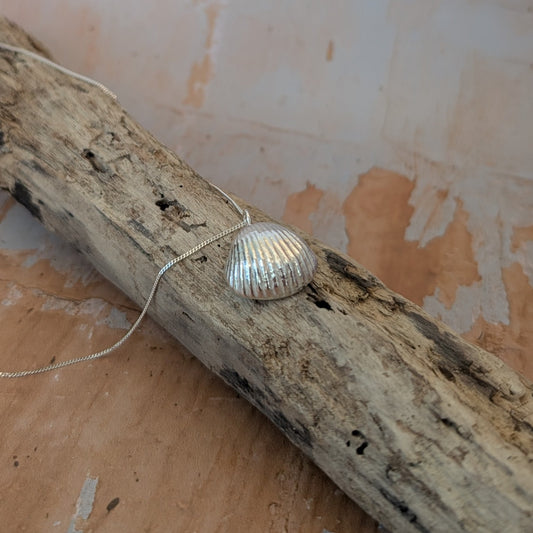 Pure Silver sea shell pendant cast from a real sea shell sitting on driftwood