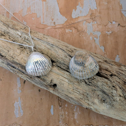 Silver Sea Shell Pendant on driftwood next to original sea shell