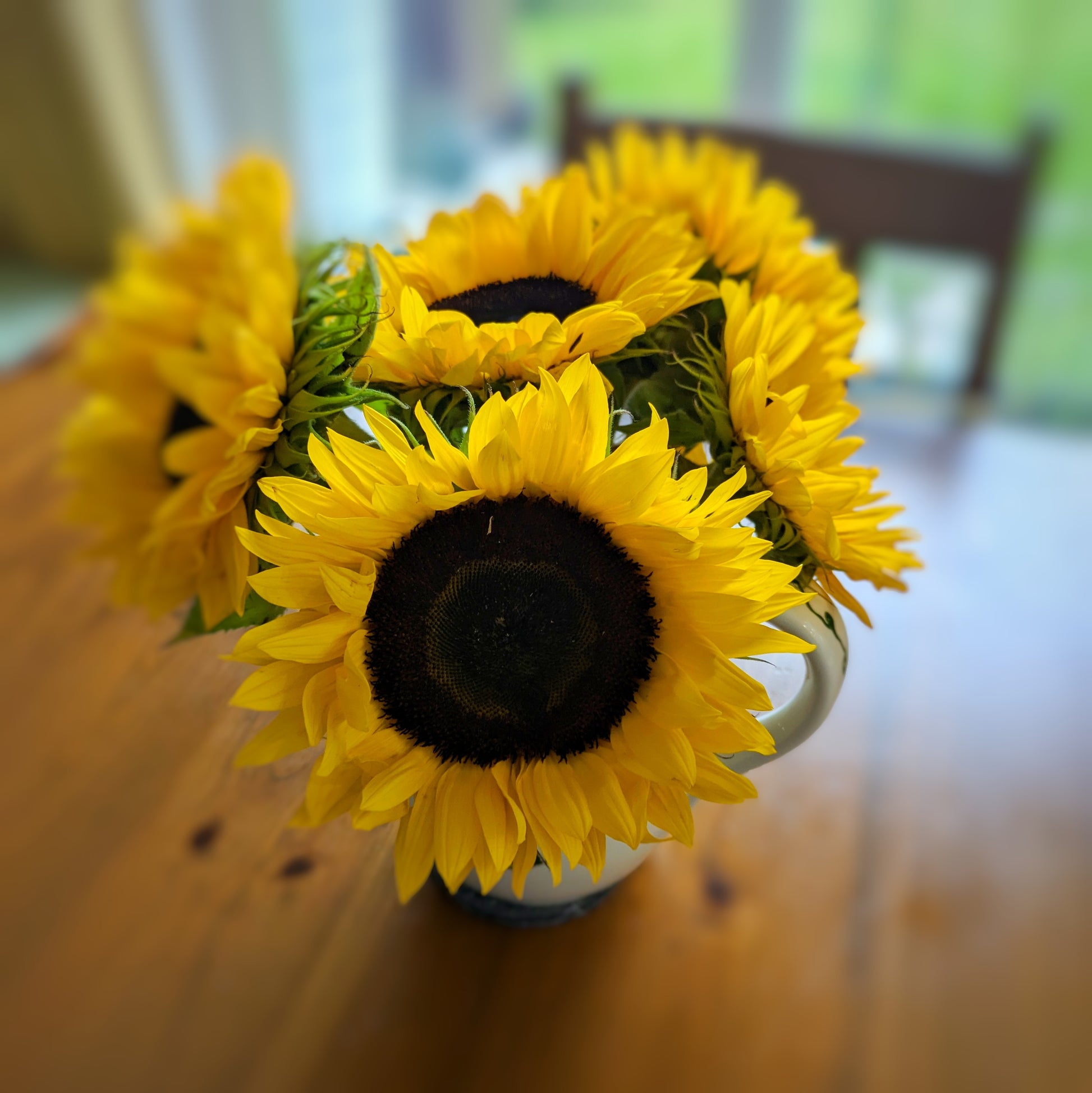 Sunflowers in vase