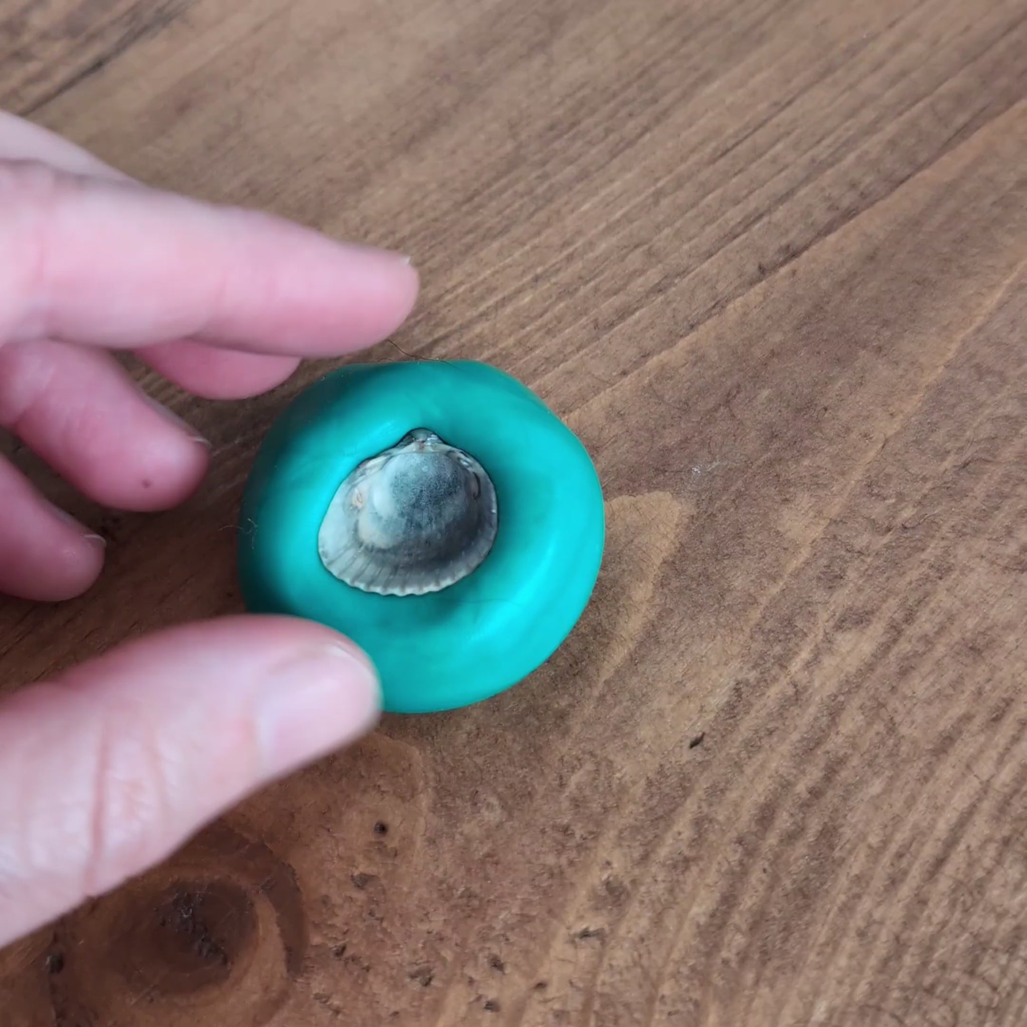 Video of real sea shell creating a mould for Art Silver clay